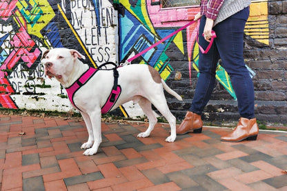 EasySport Dog Harness, Pink, Medium