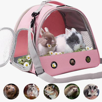 Bearded Dragon Carrier,Lizards Cage,Hamster Outdoor Used,Small Animal Travel Carrier for Sugar Glider Hedgehog Rat Parrot Bird Guinea Pig, Portable Guinea Pig Travel Carrier for Two