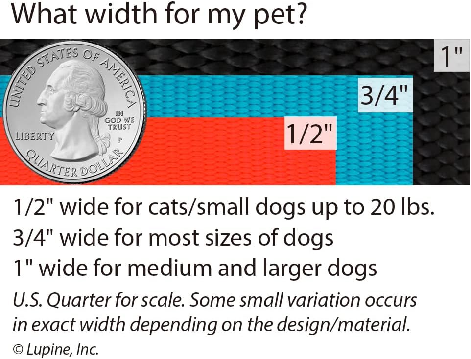 Basics 1/2" Pink 4-foot Padded Handle Leash for Small Pets