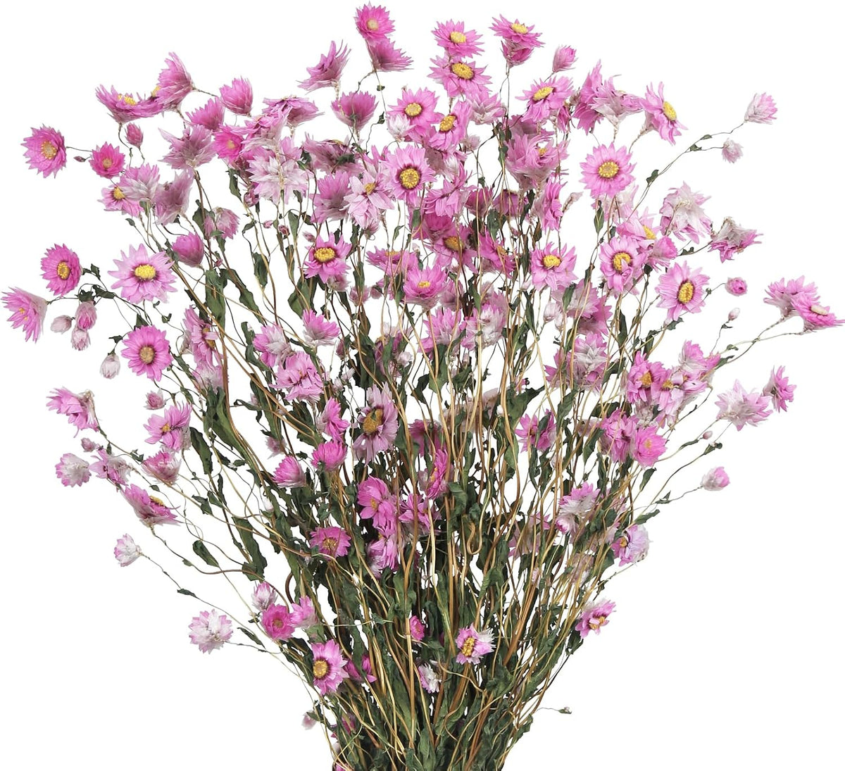 Dried Daisy Flowers Bouquet Dried Flowers Pink with Stems Real Chrysanthemum Gerber Daisies Arrangements for Wedding Farmhouse Vase Decorations DIY Home Party Wildflower Decor
