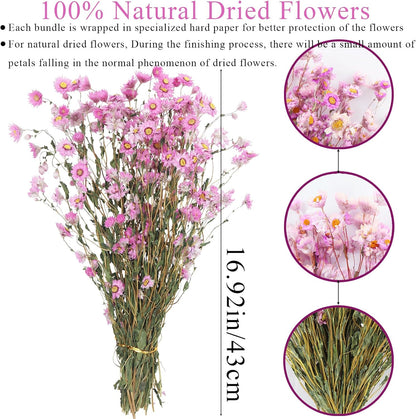 Dried Daisy Flowers Bouquet Dried Flowers Pink with Stems Real Chrysanthemum Gerber Daisies Arrangements for Wedding Farmhouse Vase Decorations DIY Home Party Wildflower Decor