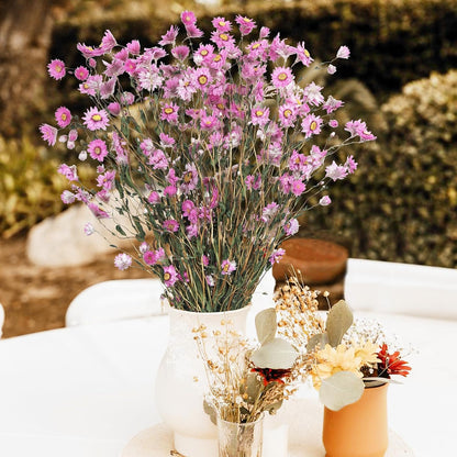 Dried Daisy Flowers Bouquet Dried Flowers Pink with Stems Real Chrysanthemum Gerber Daisies Arrangements for Wedding Farmhouse Vase Decorations DIY Home Party Wildflower Decor