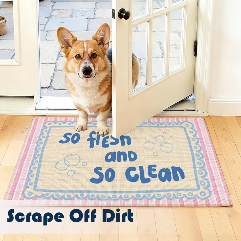 Chicimln Preppy Bathroom Decor Mat, Pink and Blue Striped Non-Slip Linen Doormat Outdoor Indoor Entrance, So Fresh and So Clean Welcome Mats Rugs for Girls Bathroom Washroom, 17x30 Inch
