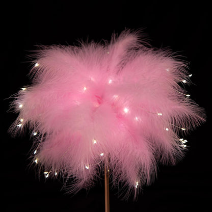 Pink Feather Lamp - LED Atmosphere Feather Night Lights Bedside Lamps for Mother, Girlfriend Home Girl Room Wedding Decoration