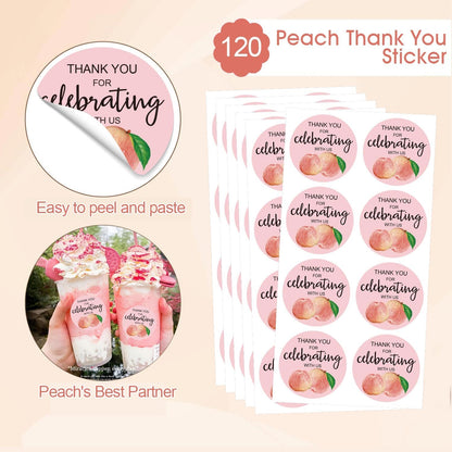 Peach Thank You Stickers 2 Inch 120Pcs Party Favor Labels