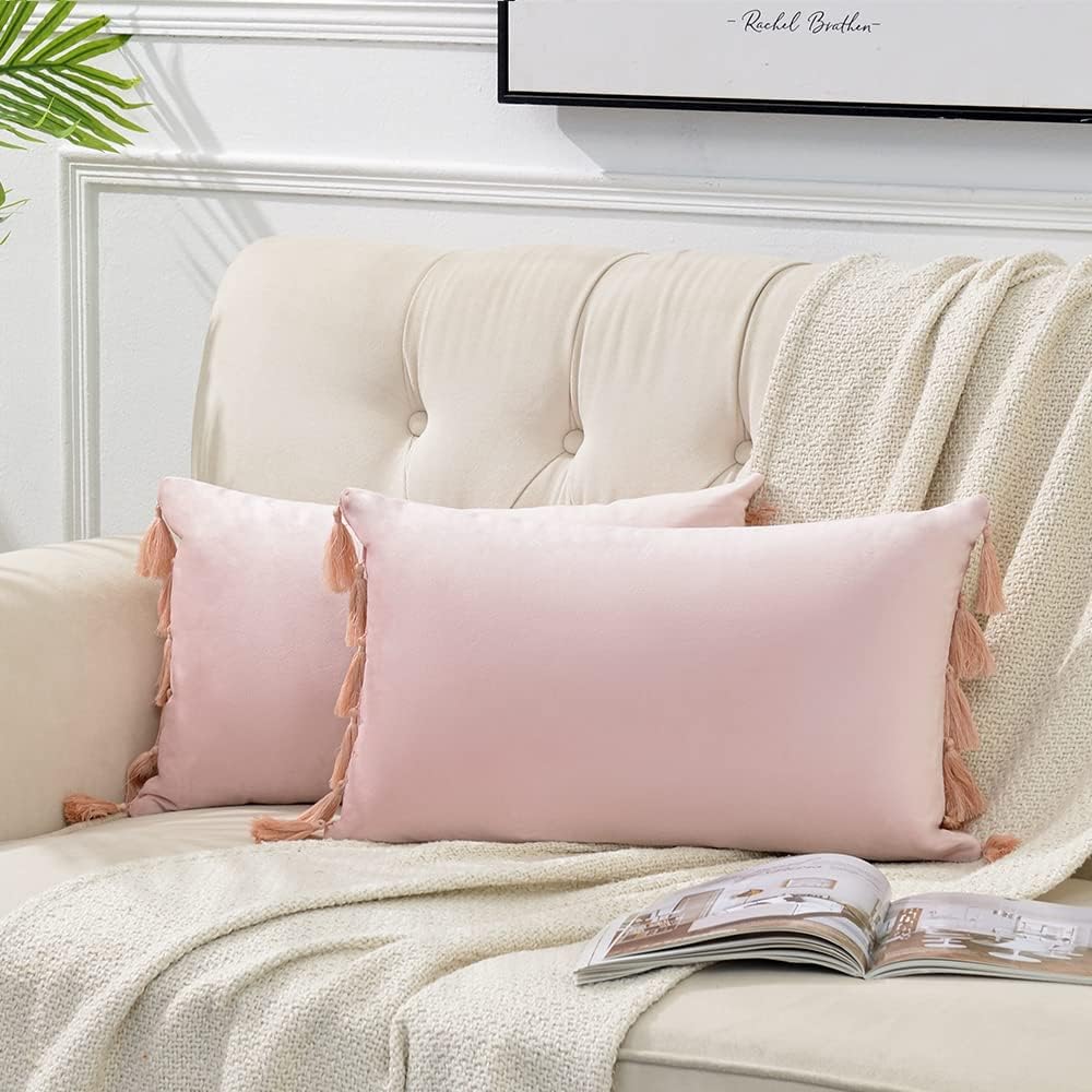 2 Pack Blush Pink Lumbar Decorative Throw Pillow Covers 12x20 Inch with Tassels for Living Room Couch Bedroom, Soft Velvet Solid Rectangle Cushion Case 30x50 cm, Boho Home Decor