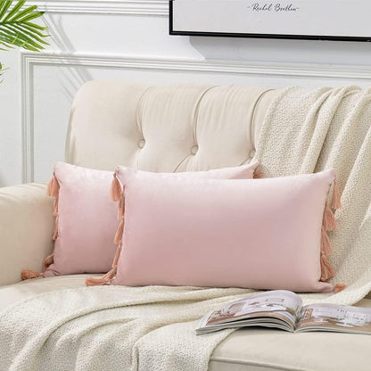 2 Pack Blush Pink Lumbar Decorative Throw Pillow Covers 12x20 Inch with Tassels for Living Room Couch Bedroom, Soft Velvet Solid Rectangle Cushion Case 30x50 cm, Boho Home Decor