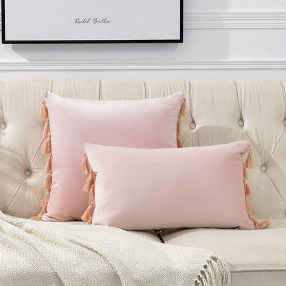 2 Pack Blush Pink Lumbar Decorative Throw Pillow Covers 12x20 Inch with Tassels for Living Room Couch Bedroom, Soft Velvet Solid Rectangle Cushion Case 30x50 cm, Boho Home Decor