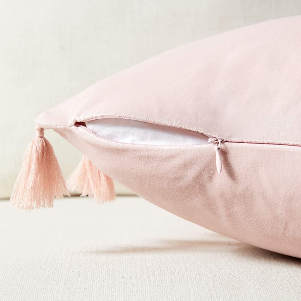 2 Pack Blush Pink Lumbar Decorative Throw Pillow Covers 12x20 Inch with Tassels for Living Room Couch Bedroom, Soft Velvet Solid Rectangle Cushion Case 30x50 cm, Boho Home Decor