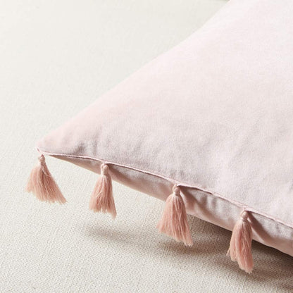 2 Pack Blush Pink Lumbar Decorative Throw Pillow Covers 12x20 Inch with Tassels for Living Room Couch Bedroom, Soft Velvet Solid Rectangle Cushion Case 30x50 cm, Boho Home Decor
