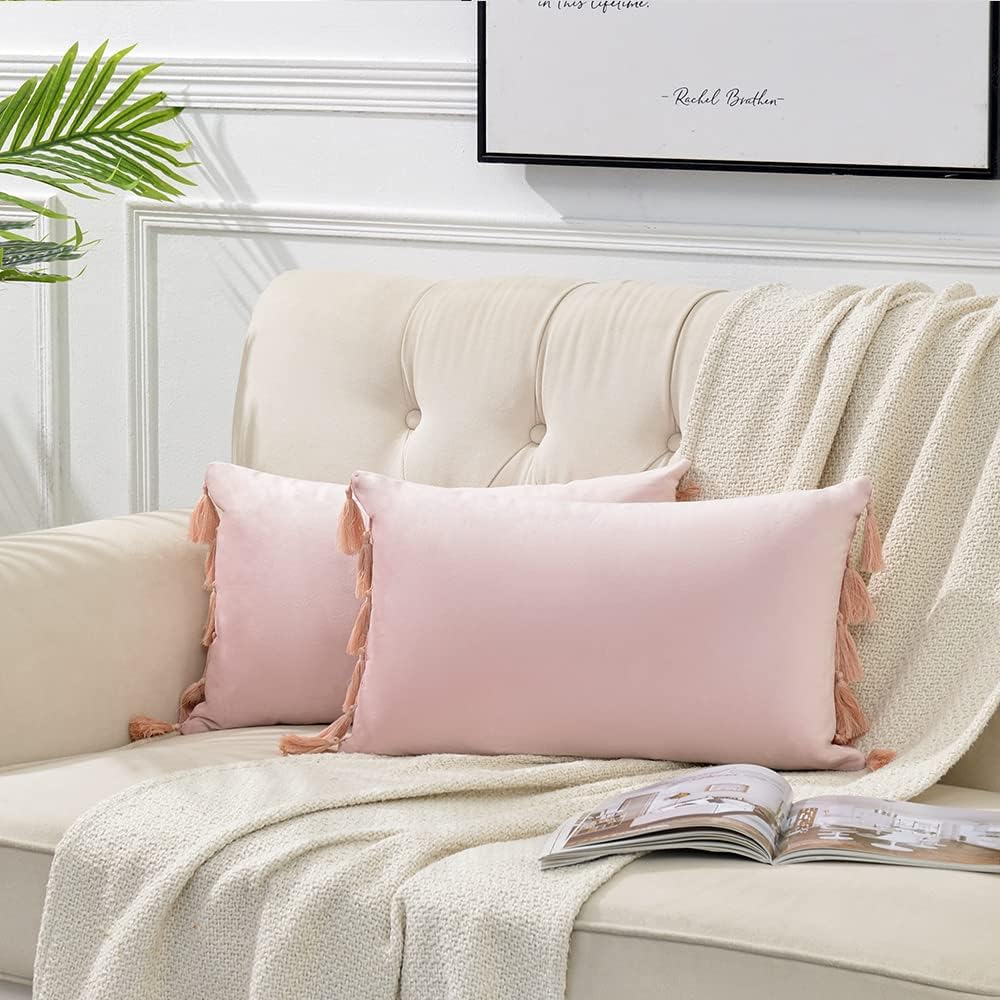2 Pack Blush Pink Lumbar Decorative Throw Pillow Covers 12x20 Inch with Tassels for Living Room Couch Bedroom, Soft Velvet Solid Rectangle Cushion Case 30x50 cm, Boho Home Decor
