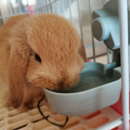 17oz Bunny Water Bottle No Drip for Cage, Hanging Automatic Water Dispenser for Small Animal Guinea Pig Hamster Chinchilla Ferret Rabbit