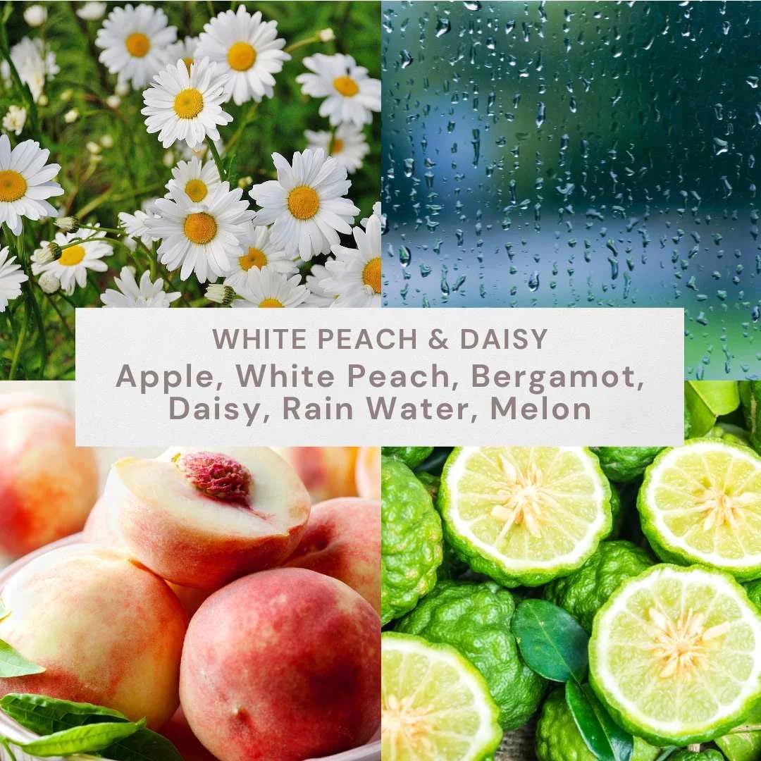 12oz White Peach & Daisy Scented 2-Wick Candle - Ombre Jar Home Fragrance Decor