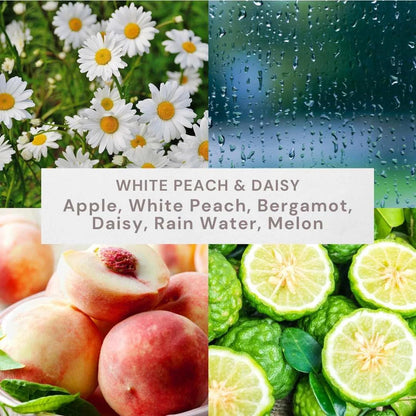 12oz White Peach & Daisy Scented 2-Wick Candle - Ombre Jar Home Fragrance Decor