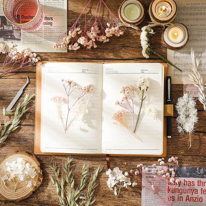 Real Dried Flowers, Natural Dry Flowers Mixed Natural Pressed Flowers Flores Secas Dried Florals for Crafts,Resin,Candle Making,Natural Flowers, Colors Vary Slightly(Pink and White)
