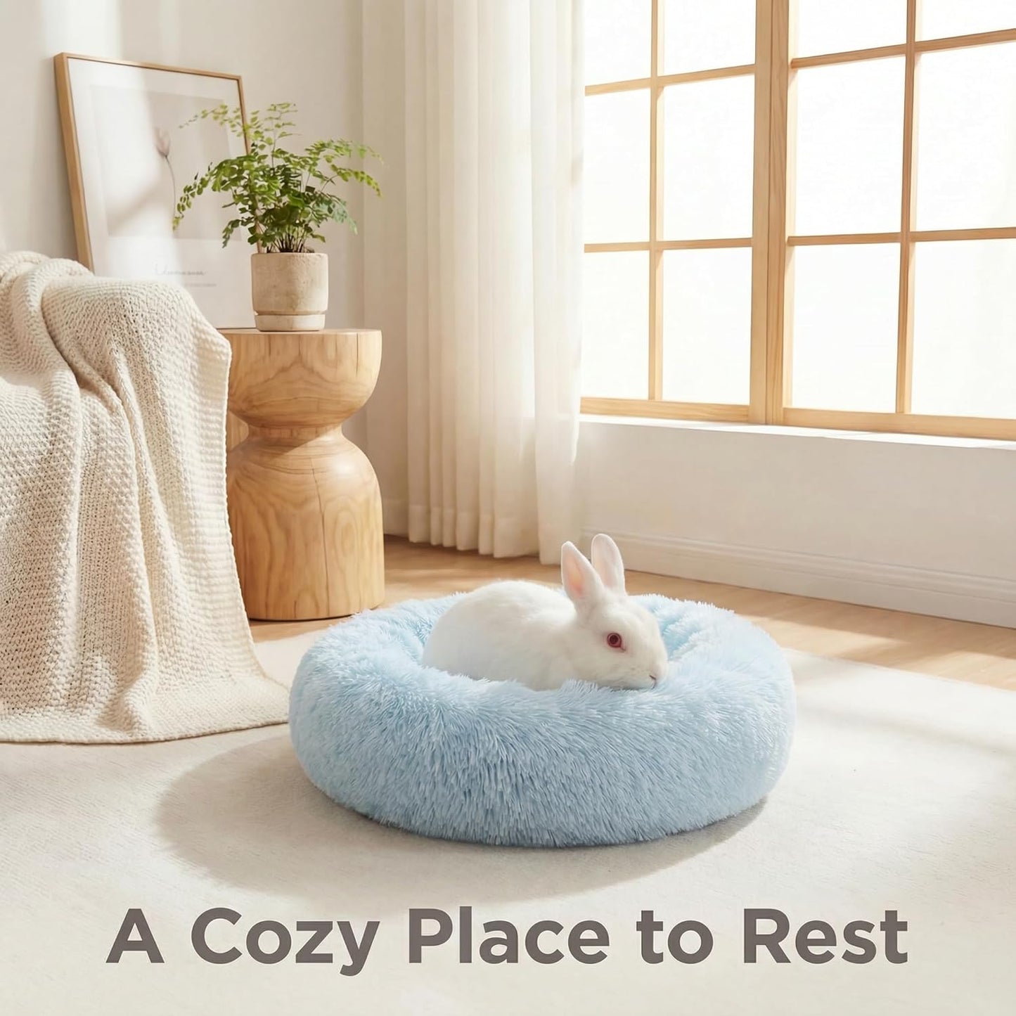 Guinea Pig Bed 11.8 Inch for Small Animal，Washable Small Animal Beds，Hideout Soft & Comfortable Donut Bed for Dwarf Rabbits/Hamster/Hedgehog/Ferrets,Blue and White