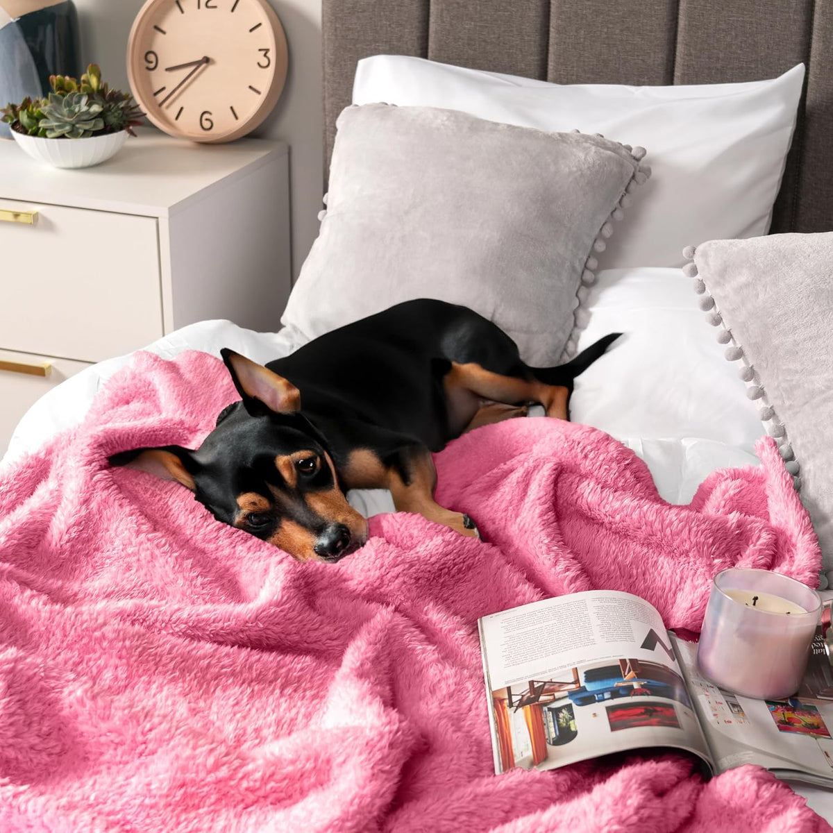 Sherpa Throw Blanket for Couch Sofa Bed, Bright Hot Pink 50x60