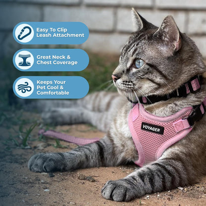 Voyager Step-in Lock Cat Harness & Leash Set - Pink, S