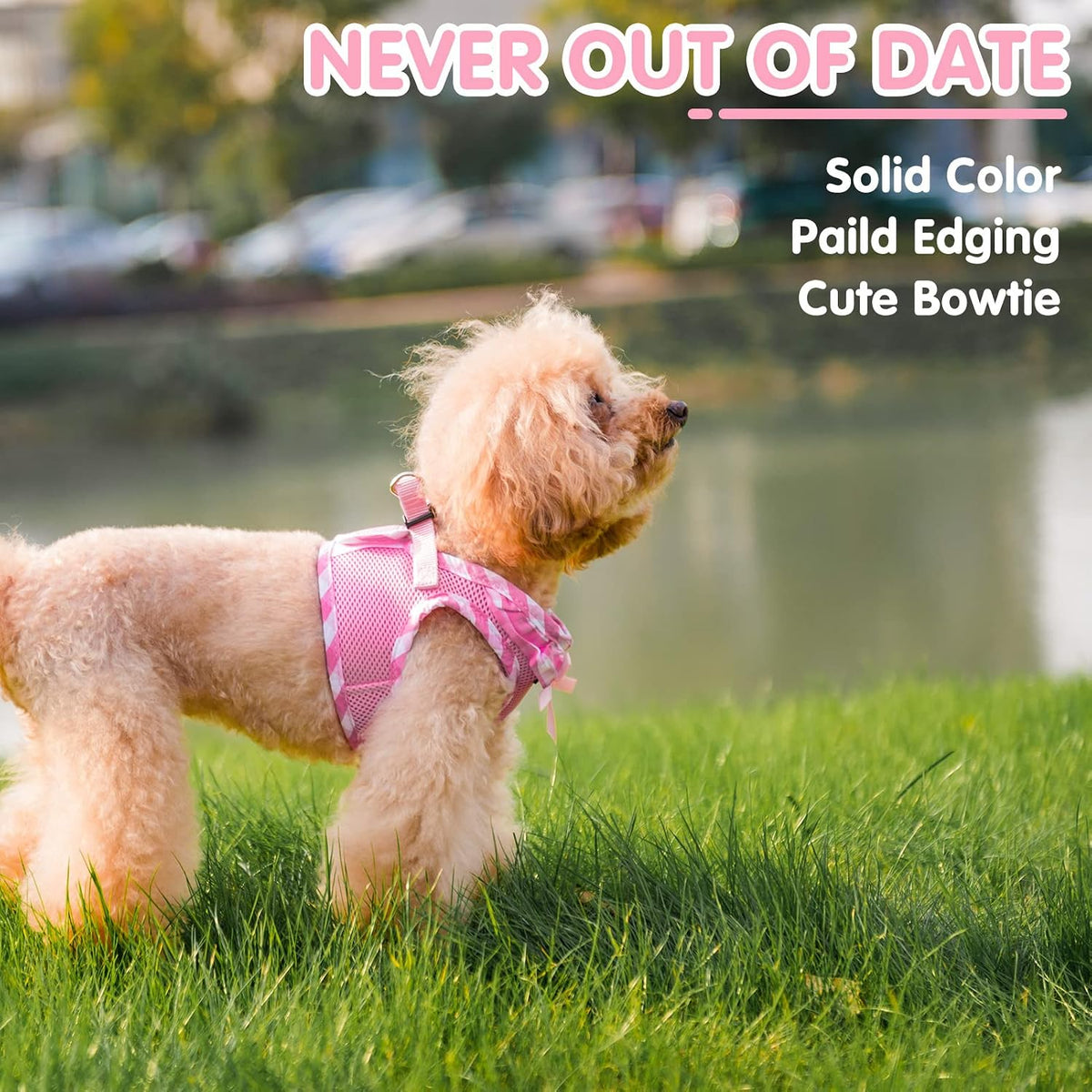 Dog Harness for Puppy and Small Sized Dogs, Step-in No Pull Soft Mesh Vest Harness for Cats Small Pets Walking, Pink, New S