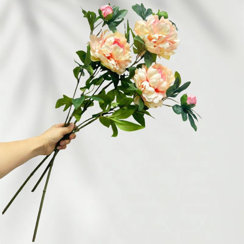 Peonies Artificial Flowers,Silk Flowers with Stems,Winter Flowers Artificial for Decoration,Long Stem Artificial Flowers for Tall Vase,Wedding Table Centerpiece Party Decor (3, Pink)