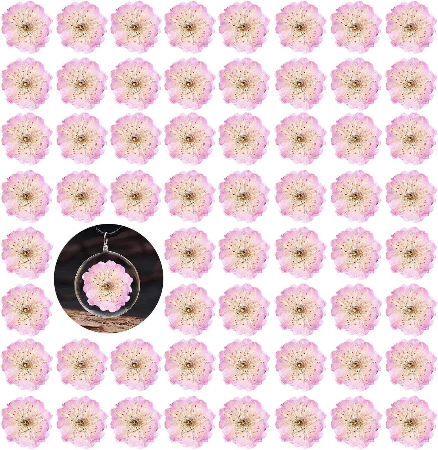 60PCS Pink Dried Pressed Cherry Flowers, Real Natural Dried Pressed Cherry Blossom Flowers, Dry Flowers for Resin DIY Ornament Crafts Candle Making