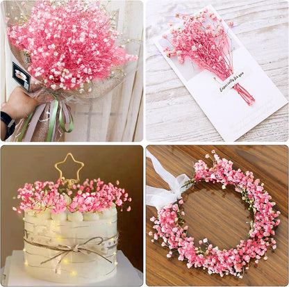 Dried Baby's Breath Flowers Pink, 17inch Dried Natural Flowers Babys Breath Bulk with 3000 Buds, Real Dry Gypsophila for Wedding, Party, Wreath Floral DIY, Home Decor