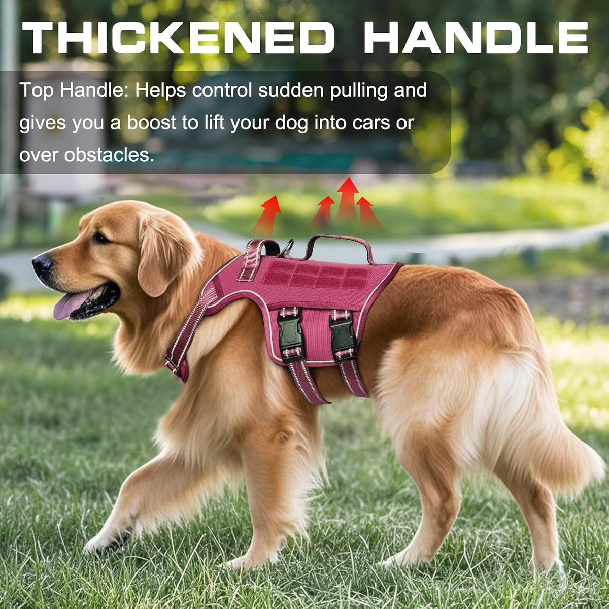 Dog Harness Medium Sized Dog, No Pull Dog Vest with Molle System