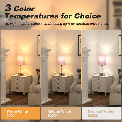 Small Bedside Table Lamp for Bedroom - Desk Lamp with USB Ports for Dorm