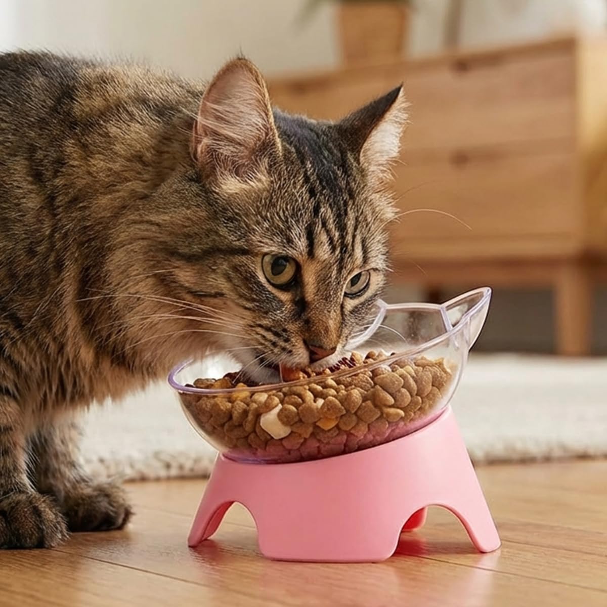 MILIFUN Raised Cat Food Bowls with Stand, Cat Dishes for Food or Water, Tilted Bowl, Pet Dish with Stand