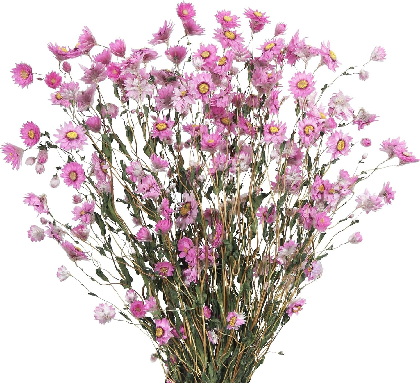 Dried Daisy Flowers Bouquet Dried Flowers Pink with Stems Real Chrysanthemum Gerber Daisies Arrangements for Wedding Farmhouse Vase Decorations DIY Home Party Wildflower Decor
