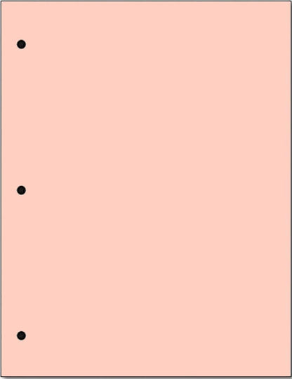 Copy Printing and Writing Colored Paper, 20 Pound - 75 Gsm, 8.5"x11", 3 Hole Punch, 500 Sheets per Ream. (Peach)