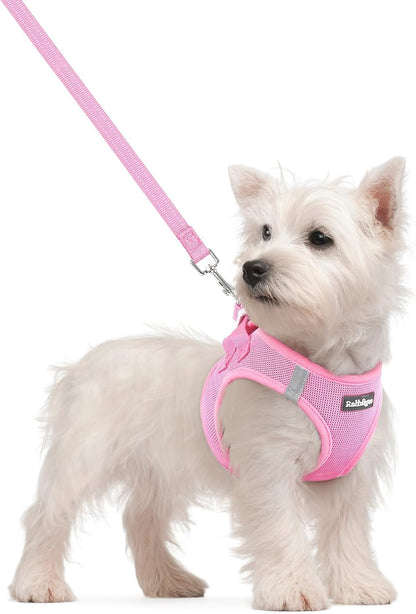 Dog Harness Small Sized and Leash Set, Step-in Puppy Pet Vest