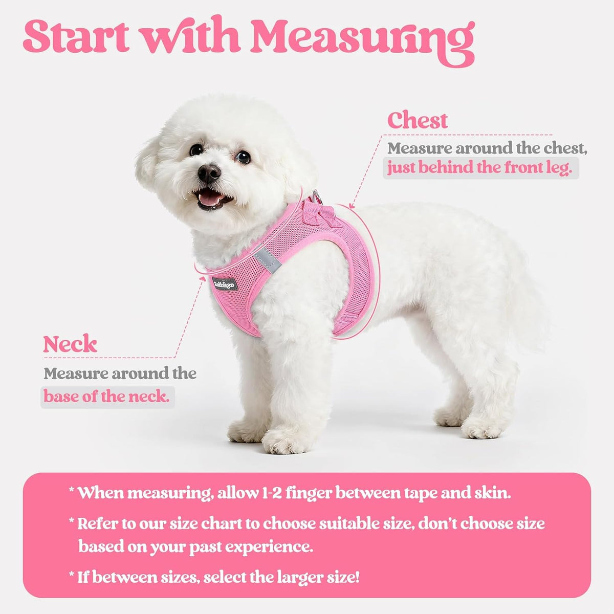 Dog Harness Small Sized and Leash Set, Step-in Puppy Pet Vest