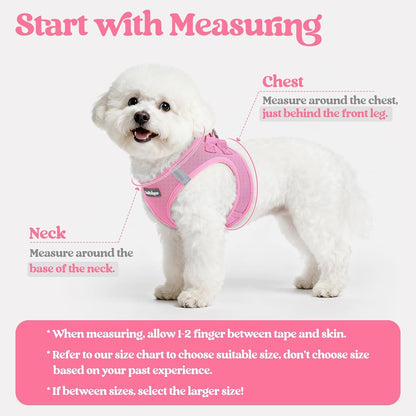 Dog Harness Small Sized and Leash Set, Step-in Puppy Pet Vest