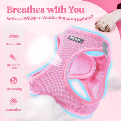 Dog Harness Small Sized and Leash Set, Step-in Puppy Pet Vest