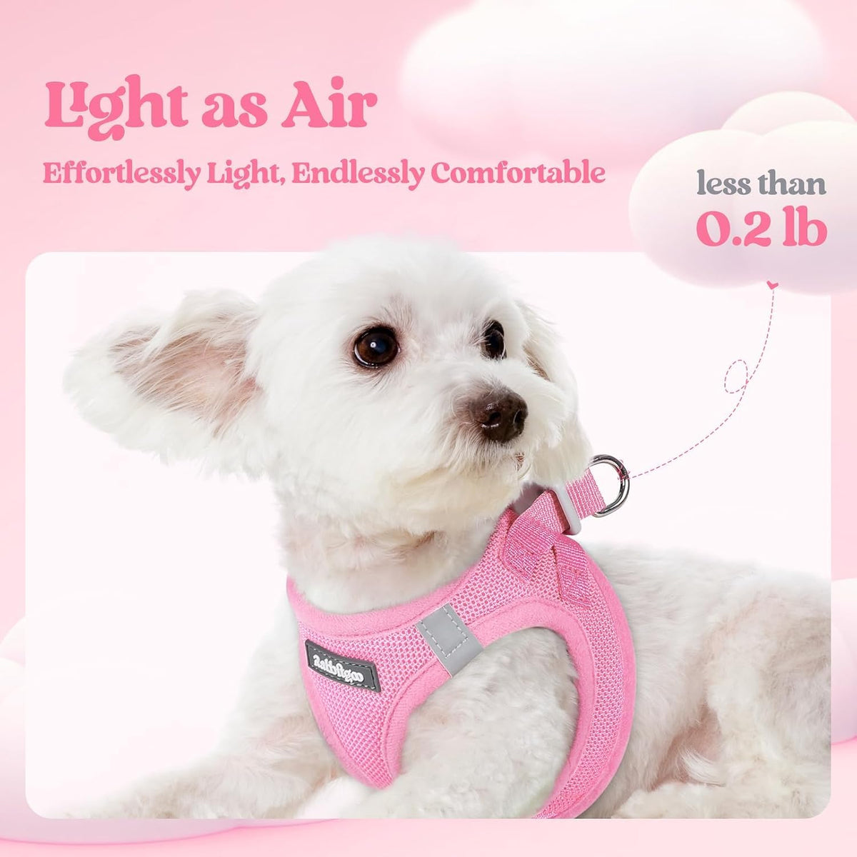 Dog Harness Small Sized and Leash Set, Step-in Puppy Pet Vest