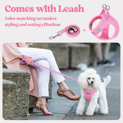 Dog Harness Small Sized and Leash Set, Step-in Puppy Pet Vest