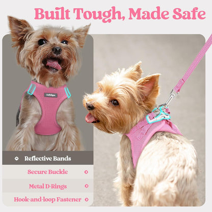 Dog Harness Small Sized and Leash Set, Step-in Puppy Pet Vest