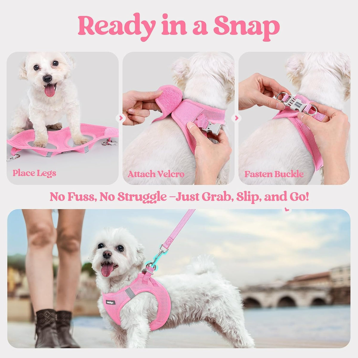 Dog Harness Small Sized and Leash Set, Step-in Puppy Pet Vest