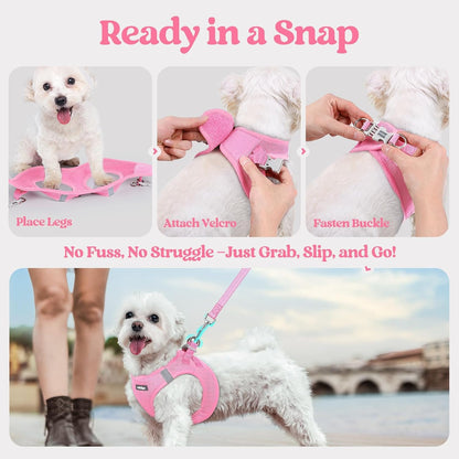 Dog Harness Small Sized and Leash Set, Step-in Puppy Pet Vest