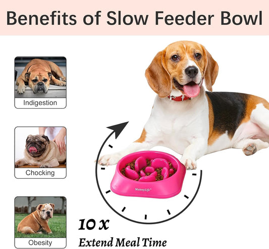 MateeyLife Slow Feeder Dog Bowls 2PCS, Anti-Choking Puzzle Dog Food Bowls, Anti-Slip Interactive Feeding Slow Down Eating, Bloat Stop Maze Dishes for Medium Breeds Pink&Purple