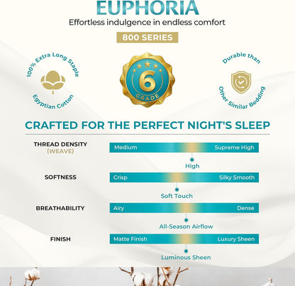 100% Egyptian Cotton Queen Pillow Cases Set of 2 - Luxury 800 Series Euphoria Collection Queen Pillow Cases (Blush), Soft Cooling Hotel Cotton Pillowcases, Fits Standard Pillows