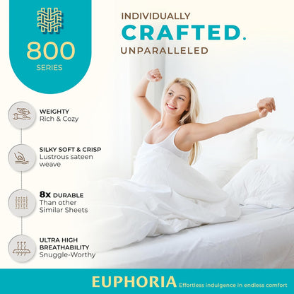 100% Egyptian Cotton Queen Pillow Cases Set of 2 - Luxury 800 Series Euphoria Collection Queen Pillow Cases (Blush), Soft Cooling Hotel Cotton Pillowcases, Fits Standard Pillows