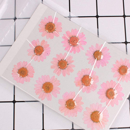 Natural Dried Pink Daisy Flower, Vacuum Packaging, Pressed Flower for House Decoration, Jewelry Making, Phone case Decoration 50pcs/Pack (Pink)