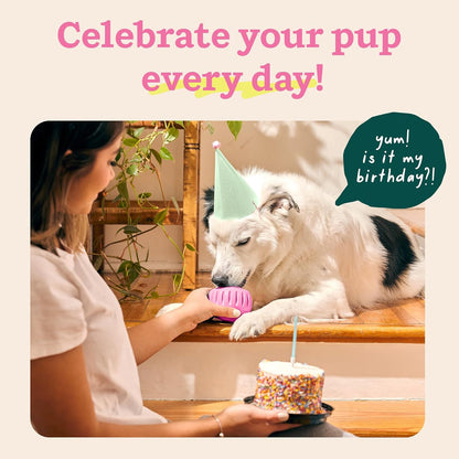 Pupsicle Interactive Dog Ball Toy for Dogs Small 10-25 lbs - Pink