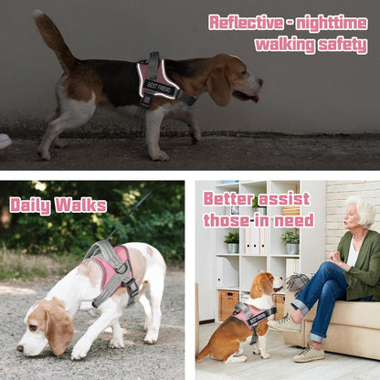 AUROTH Dog Harness and Leash Set for Medium Sized Dog, No Pull Dog Vest