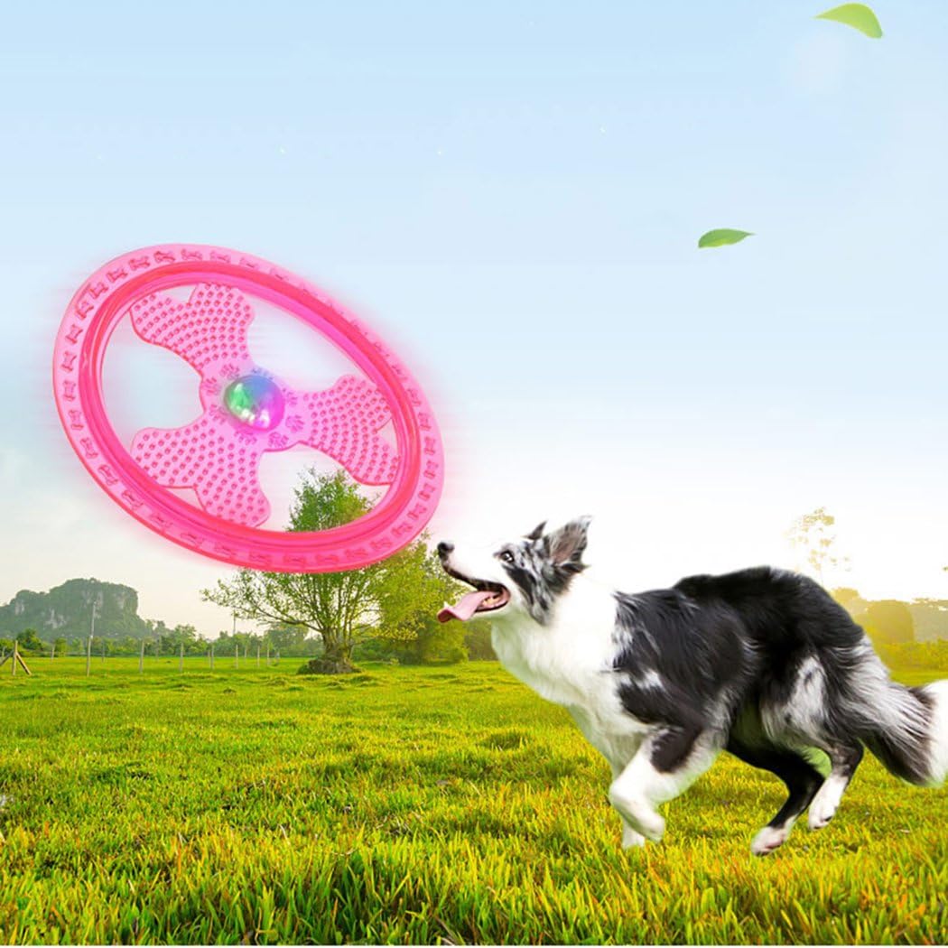 Flying Disc Dog Sport Toy with Flashing LED Lights, Light Up Pet Disk for Ultimate Night Time Play, Pink