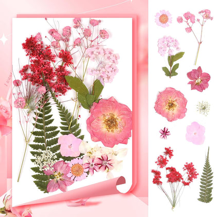 Pressed Flowers Bulk Dried Flowers for Crafts,Real Natural Pressed Flowers Dry Leaves Kit for Crafts Resin Mold Jewelry Candle Soap Making Scrapbooking Nails DIY（Pink Style）