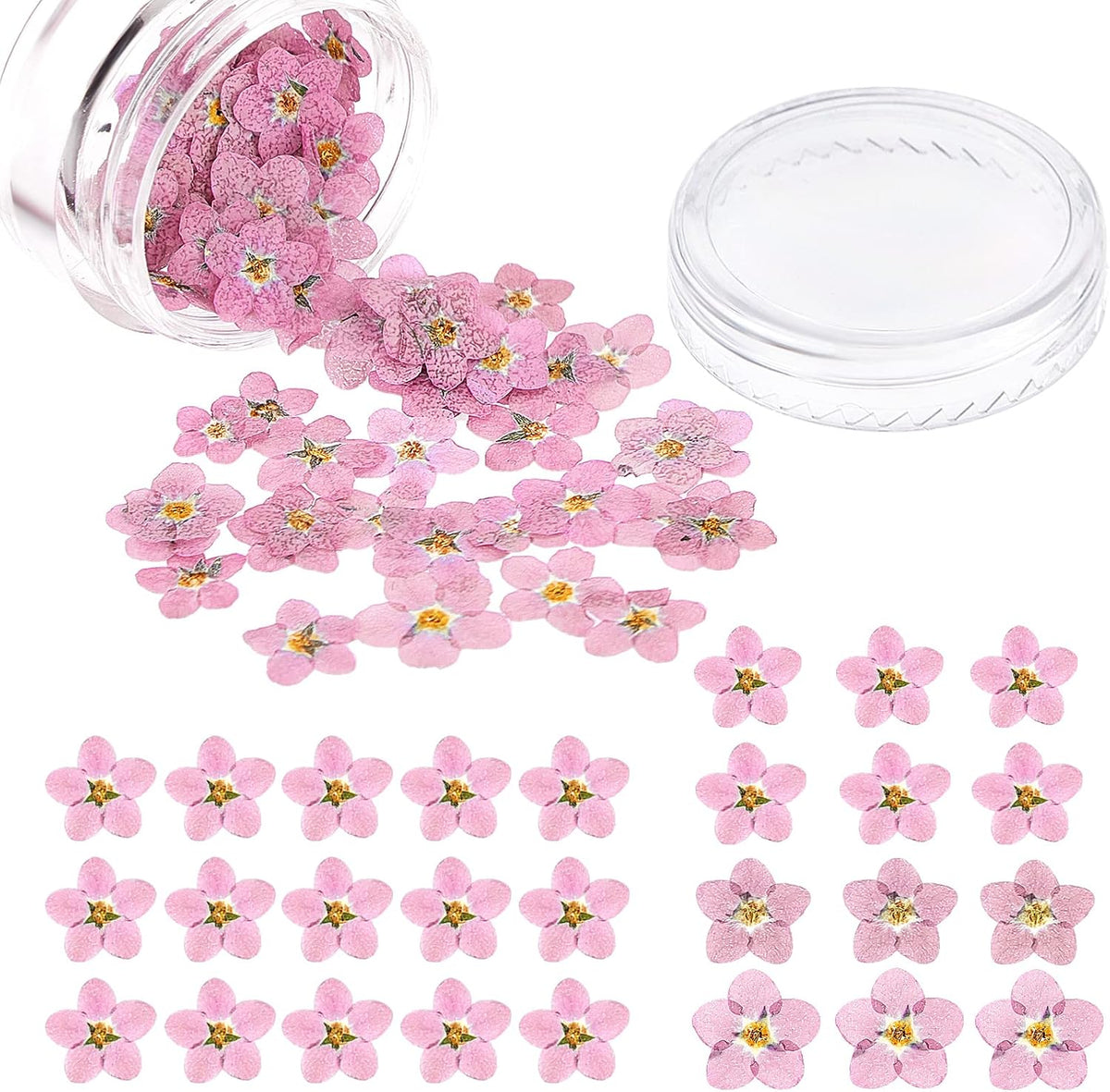 100 Pcs Natural Dried Forget Me Not Flowers Don't Forget Me Real Dried Pressed Flowers for Jewelry Candle Card Making DIY Resin Ornaments Nail Art Decorations(Pink)