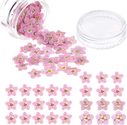 100 Pcs Natural Dried Forget Me Not Flowers Don't Forget Me Real Dried Pressed Flowers for Jewelry Candle Card Making DIY Resin Ornaments Nail Art Decorations(Pink)